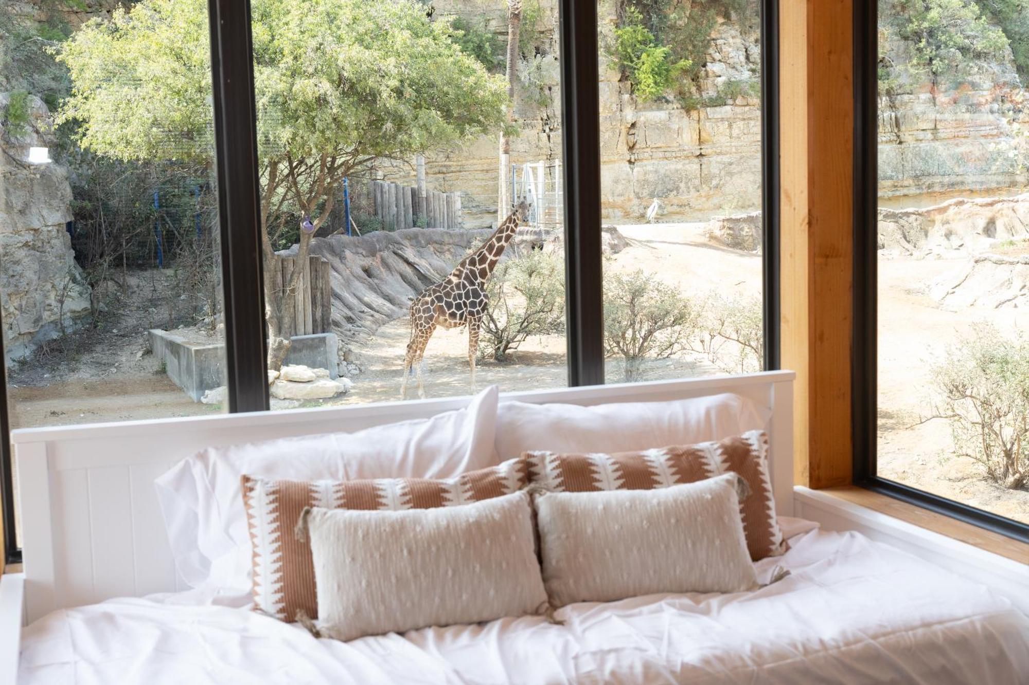 San Antonio Zoo - Spekboom Giraffe Lodge 外观 照片